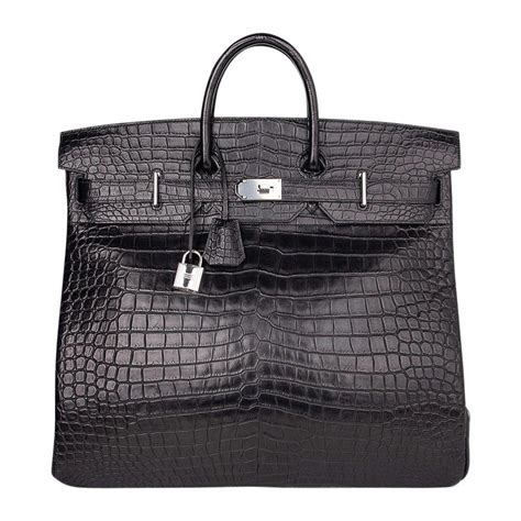 fjord hermes|Hermes crocodile porosus.